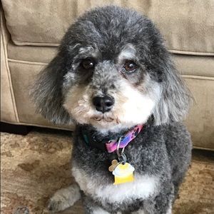 Meet your Posher, Misao